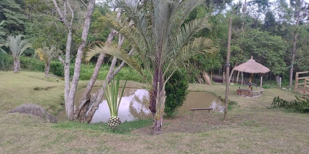 31886780-0c38-46cc-93df-0aee5ea82a25