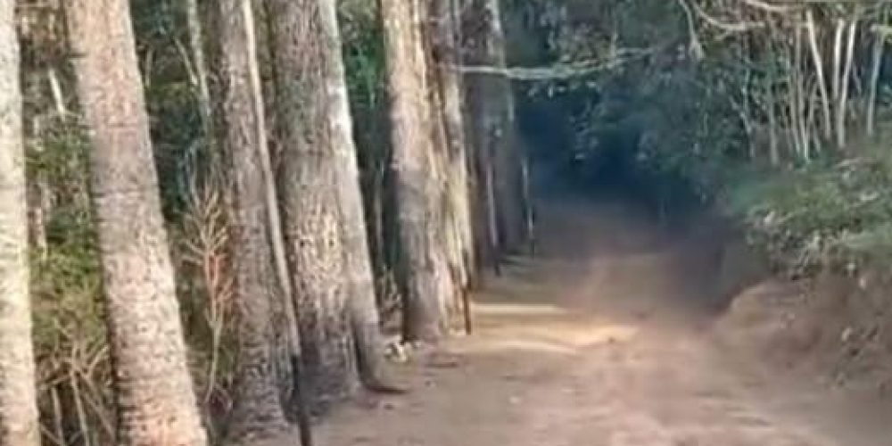 61f2377a-f28c-498f-b8c3-270873bbc7f0