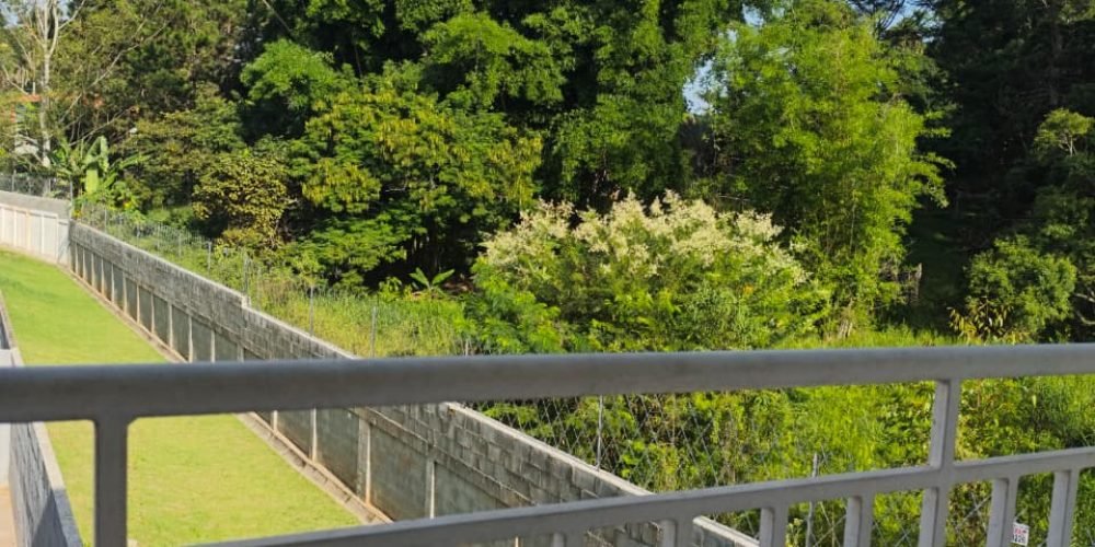 81082852-c041-42f2-be4e-0d6e8dc3113e