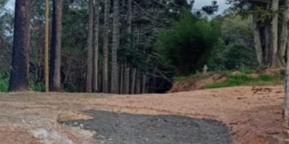 890401f1-6cbd-4265-a6b3-37f10e327c4c