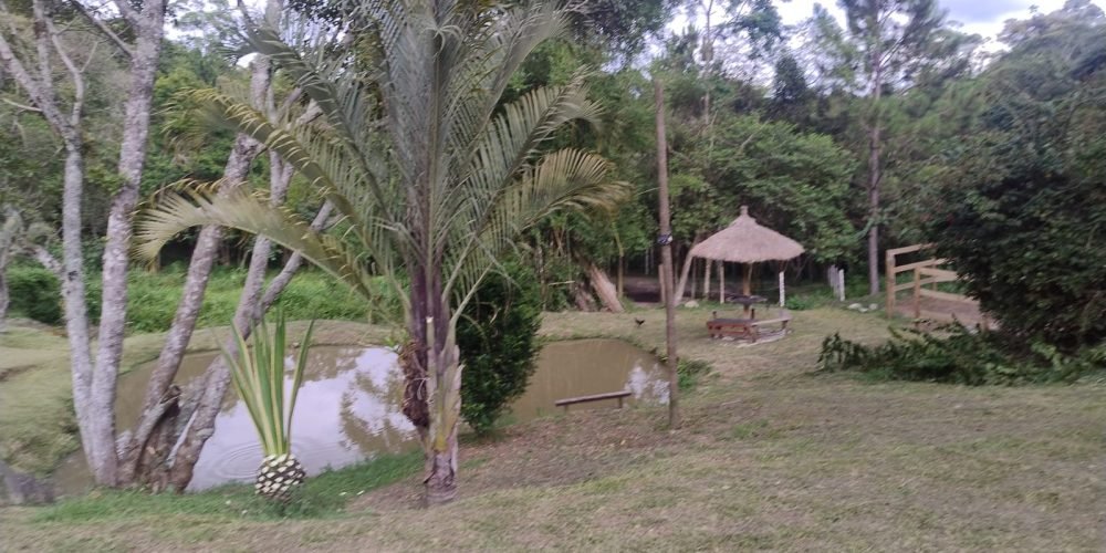 a9456c3c-f638-419f-9013-19d359a25383