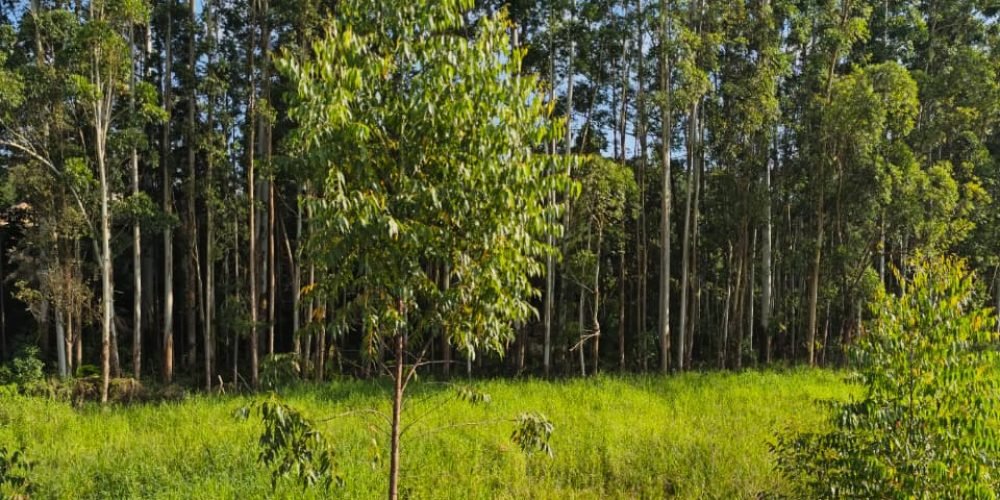 e309077b-4e4c-4fda-b15e-f7cdebbbe245