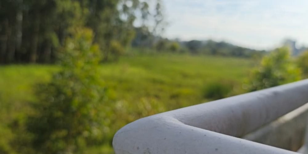 f5428e3a-f5a1-448a-99f4-d7fe129c6e96